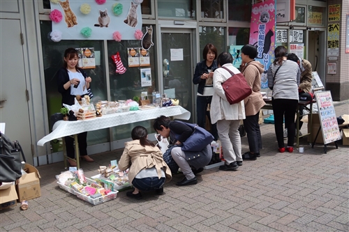 兵庫県宝塚市の猫の譲渡会の様子